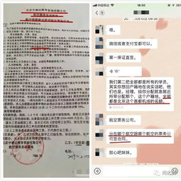 从云端到电话线 空姐转行票务代理的职场转型之路